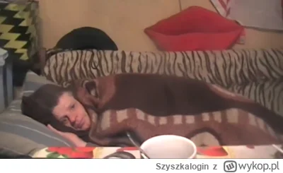 Szyszkalogin - Dobranoc chłopy. #przegryw #patostreamy