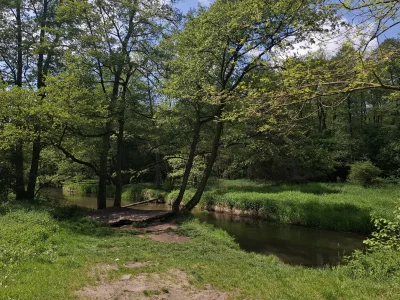 Outism0 - #przegryw #spierdotrip