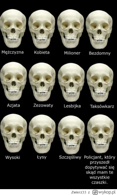 Zwierz33 - #przegryw