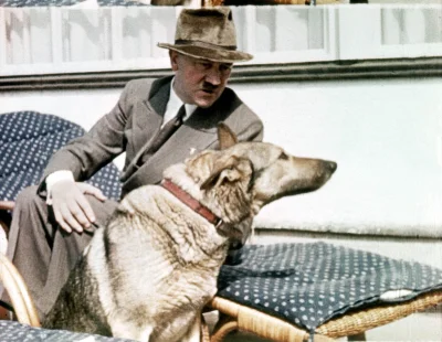 M4rcinS - -Czy na prawdę podziwia pan Adolfa Hitlera?
-Ja tylko odpowiadam na tak zad...