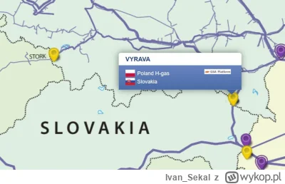 Ivan_Sekal - #polityka #bekazkonfederacji #bekazlewactwa Polityka wielowektorowa Robe...