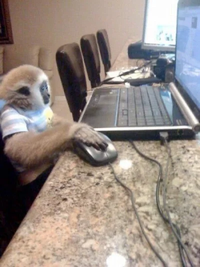 nykkjen - zabawiajcie