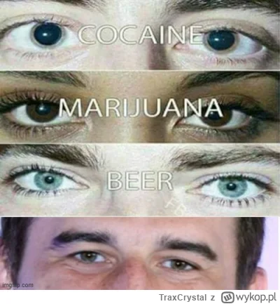 TraxCrystal - Czyli rozumiem że od dzisiaj koteriada legalna? ( ͡° ͜ʖ ͡°)
#f1 #lemans...