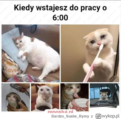 BardzoSuabeRymy - #przegryw to nie piątek, to środa ( ͡° ʖ̯ ͡°)
ehhhhhhh