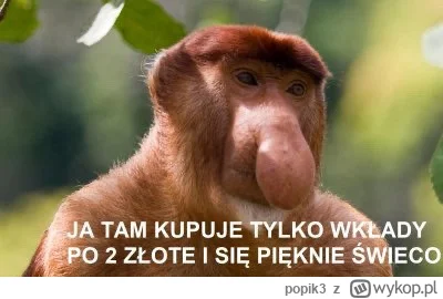 popik3 - #humorobrazkowy #heheszki #wszystkichswietych