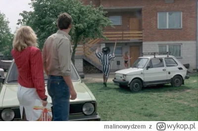 malinowydzem - DOM ZŁY
#slubodpierwszegowejrzenia