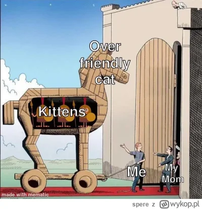 spere - #smiesznypiesek #smiesznekotki #koty