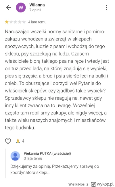 WielkiNos - Pies w piekarni w praktyce. Ale psiarze wam napiszą, że ich jest grzeczny...
