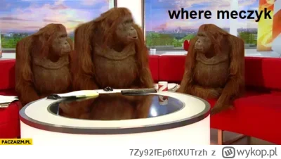 7Zy92fEp6ftXUTrzh - #mecz