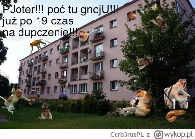 Cerb3rusPL - #konkursnanajbardziejgownianymemznosaczem