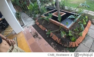 Chilli_Heatwave - #raportzpanstwasrodka #popaswpieprz 

Akwarium z szybą i lampkami -...