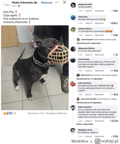 WielkiNos - Nie uwierzycie. Psiarze się zesrali bo ktoś prawidłowo zabezpieczył psa z...