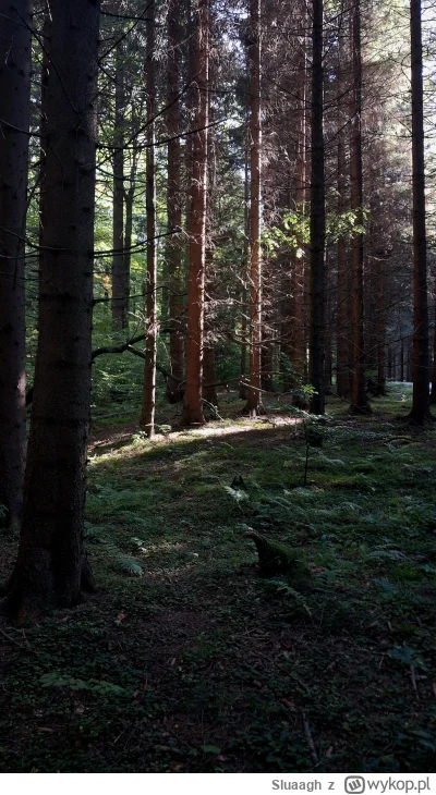 Sluaagh - #spierdotrip 
Nie moge sie doczekać az wywołam klisze :3