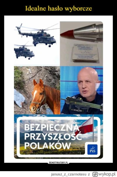 januszzczarnolasu - #polska #polityka #wybory #bekazpisu #heheszki #dowcipsurowowzbro...