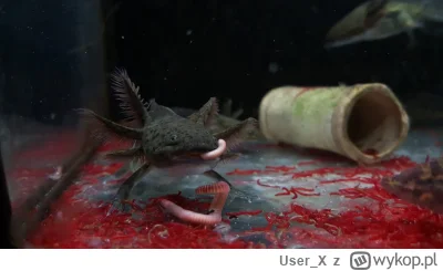 User_X - Proponuje odstawić DC i Marvela bo później takie głupoty się wypisuje. Regen...