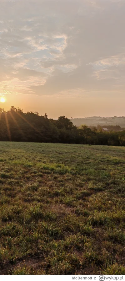 McDermott - Dzień dobry. Może trochę post z d--y ale napiszę trochę swoich przemyśleń...