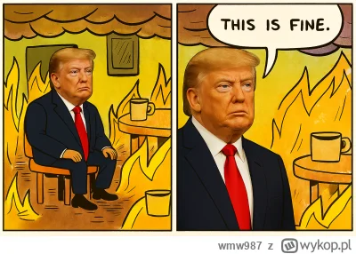 wmw987 - #heheszki #polityka #trump #usa #memy #gielda