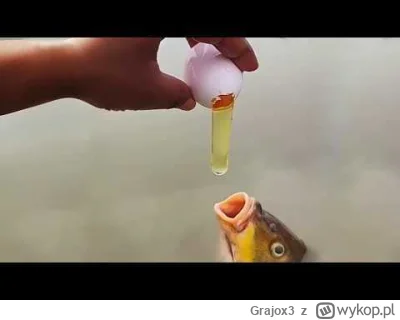 Grajox3 - Żeby shoty z Raszei pojawiały się na kanale mającym 4 mln subskrypcji? Oczy...