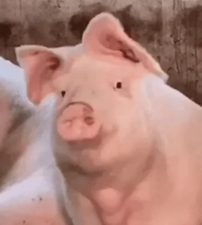 JozefG34 - @ejcaredomcabej @Marecki85 @PanPieczara @MagdalenaAnna: Tu jest zdjęcie Me...