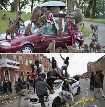 OscarGoldman - #heheszki
#humorobrazkowy