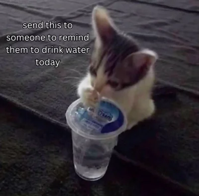 G06DbT - @wybryk_natury: