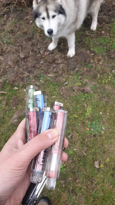 BArtus - #zalesie #patologiazmiasta #epapierosy 
Serio ludzie kurzą tego e-peta i wyr...