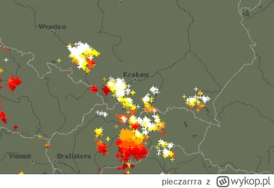 pieczarrra - #krakow