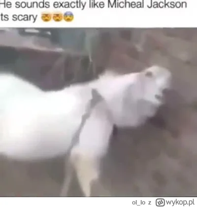 ol_Io - wow niesamowita historia 

#humorobrazkowy #muzyka