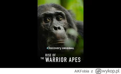 AKFobia - @kanabiss: Jest genialny dokument o tych stworzeniach zamieszkujący dżungle...