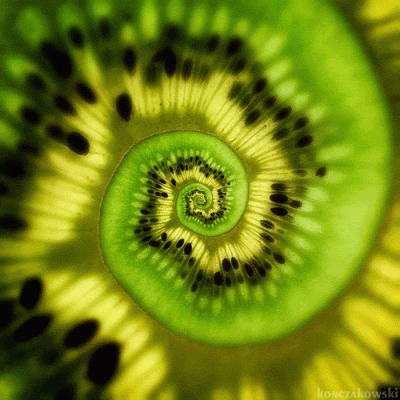 dywergent - nie chce mi sie spac bo nie chce jutro wstawac