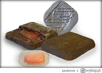 pauleene - @osetnik @marcion-bycion @anonimowy_obserwator 

W szczepionkach dla dziki...