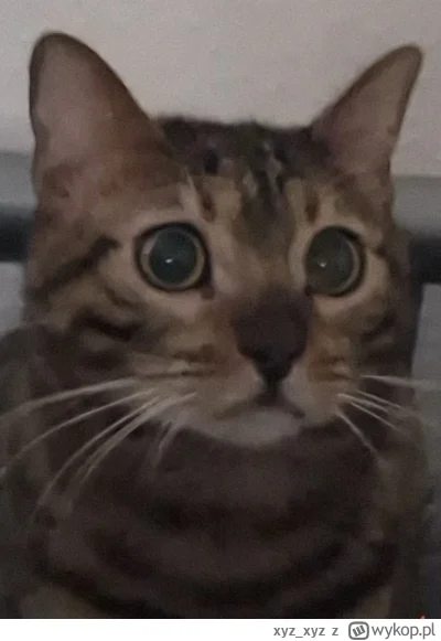 xyz_xyz - Virgin kacperek xD