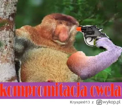 Kryspin013 - @kto-wie-ten-wie32: