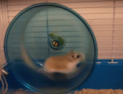 bylemzielonko - >nie masz za mało czasu tylko jesteś słabo zorganizowany skoro codzie...