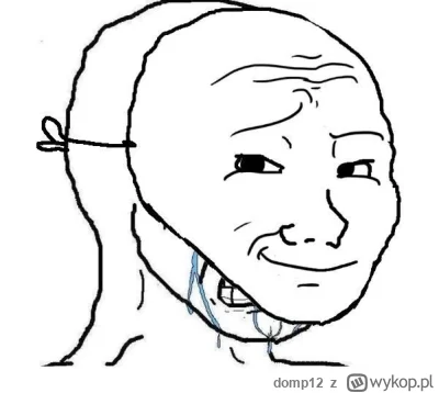 domp12 - @Pan_Whiskers uśmiech jokera na końcu. Albo z mema i'm fine
