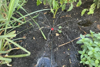 asdfghjkl - I cyk zraszacze łodpolone. Jutro drugą część ogrodu i będzie legancko dla...