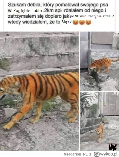 Merdarion_PL - #mecz