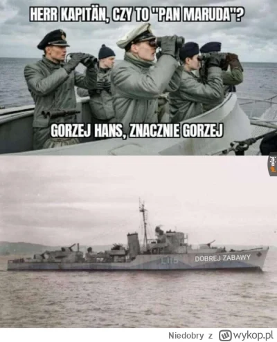 Niedobry - @xiv7: Teraz zas z tym delfinem wyskoczyl... Ehh.