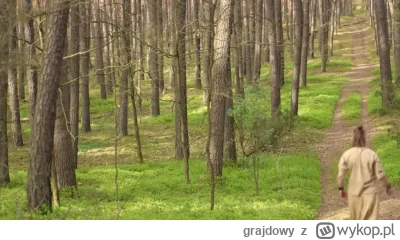 grajdowy - Uważajcie bo w lesie nadal czai się boobsman który rzuca zaklęcia 


#fame...