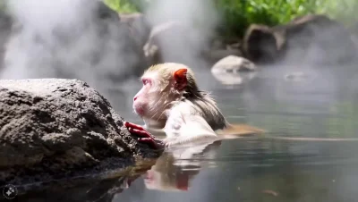 PeterWeiss - Meta z grubej rury wchodzi w generowanie wideo. Sample robią wrażenie. I...