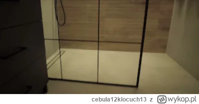 cebula12klocuch13 - @ArtBB: liniowy, na rowno