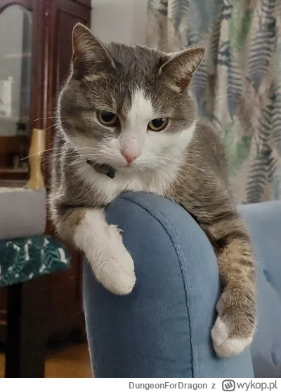 DungeonForDragon - @Solsith: