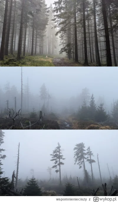 wspomnienieciszy - Tak wyglada poprawa pogody i "mityczne" 15 stopnii w #gory #sudety...