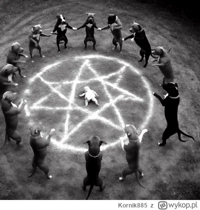 Kornik885 - #psiarze #psy 
Pierwszy raz w życiu musiałem uciekać przed psem. Spacerow...