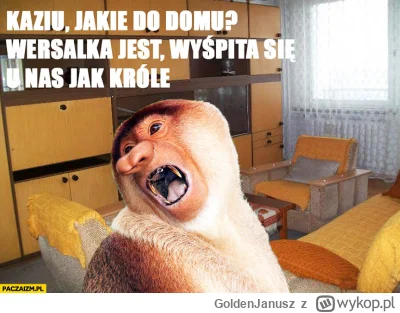 GoldenJanusz - #przegryw #polskiedomy