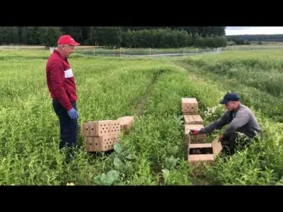 Wykopaliskasz - @MateMizu: Jakby ktoś chciał, to tutaj film: