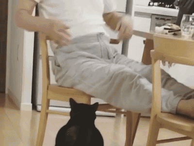 wfyokyga - Na tego dajcie 600 saszet