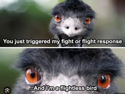 Nemayu - @kaeres: Reakcja organizmu zwana: uciekaj lub walcz. flight or fight respons...