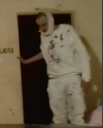 arekis77 - Zombie raszejski 
#danielmagical