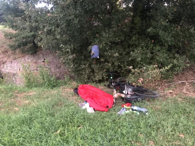 ChlopoRobotnik2137 - Dzien Dobry
Mariany włoskie już strzelajo do kaczek :/
#zlomkiem...